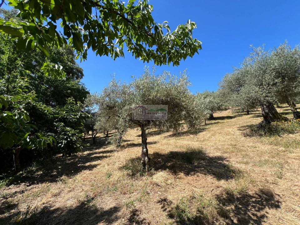 Quinta para Venda em Agrobom, Saldonha e Vale Pereiro Foto 11