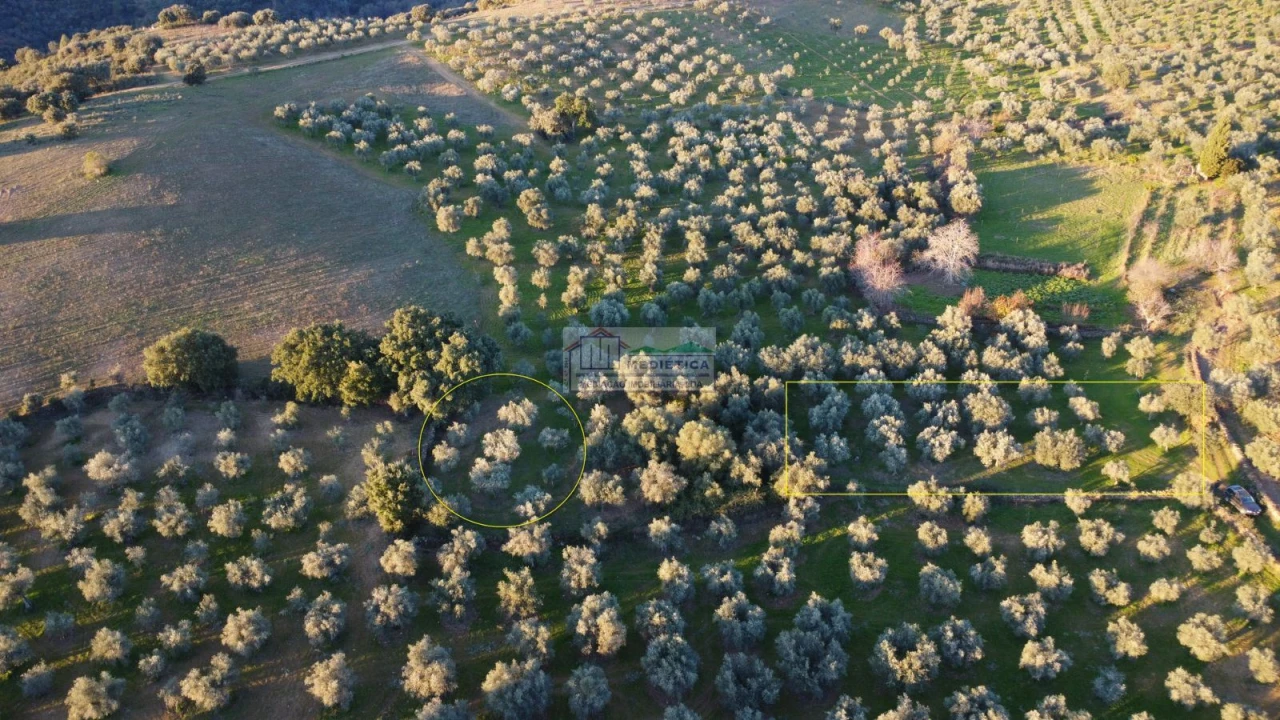 Quinta para Venda em Agrobom, Saldonha e Vale Pereiro Foto 14