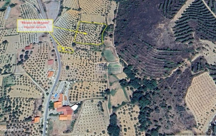 Quinta para Venda em Agrobom, Saldonha e Vale Pereiro