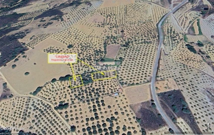 Quinta para Venda em Agrobom, Saldonha e Vale Pereiro