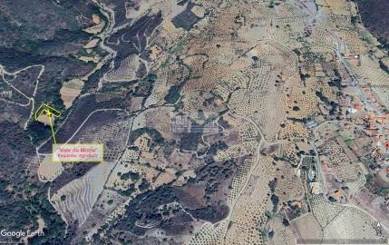 Quinta para Venda em Agrobom, Saldonha e Vale Pereiro