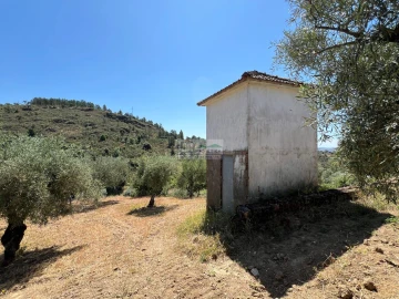 Quinta para Venda em Agrobom, Saldonha e Vale Pereiro