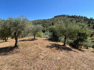 Quinta para Venda em Agrobom, Saldonha e Vale Pereiro