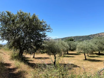 Quinta para Venda em Agrobom, Saldonha e Vale Pereiro