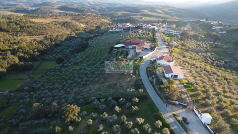 Quinta para Venda em Agrobom, Saldonha e Vale Pereiro