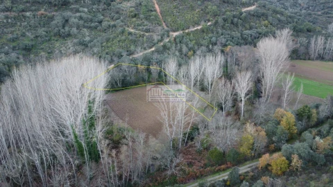 Quinta para Venda em Agrobom, Saldonha e Vale Pereiro