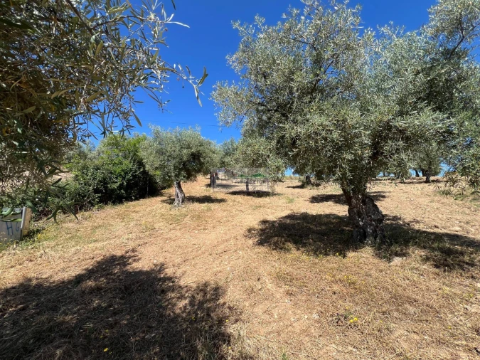 Quinta para Venda em Agrobom, Saldonha e Vale Pereiro Foto 8