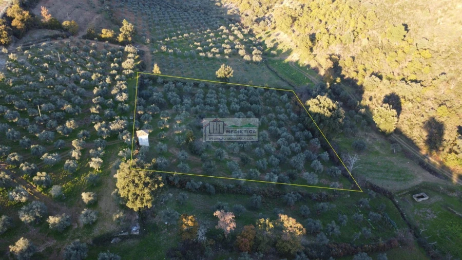 Quinta para Venda em Agrobom, Saldonha e Vale Pereiro Foto 6