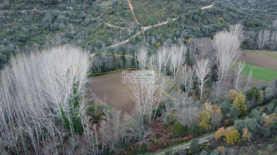 Quinta para Venda em Agrobom, Saldonha e Vale Pereiro Foto 20