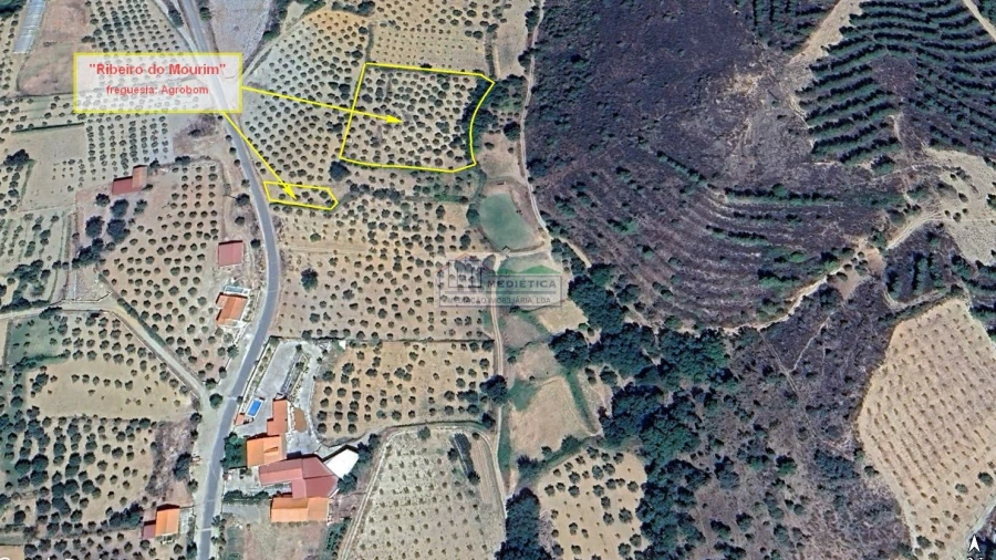 Quinta para Venda em Agrobom, Saldonha e Vale Pereiro