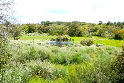 Terreno Misto para Venda em Lajeosa do Mondego