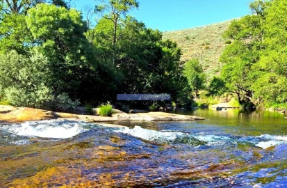 Terreno Misto para Venda em Lajeosa do Mondego