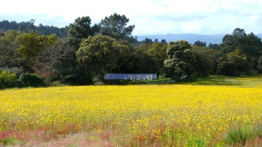Terreno Misto para Venda em Lajeosa do Mondego