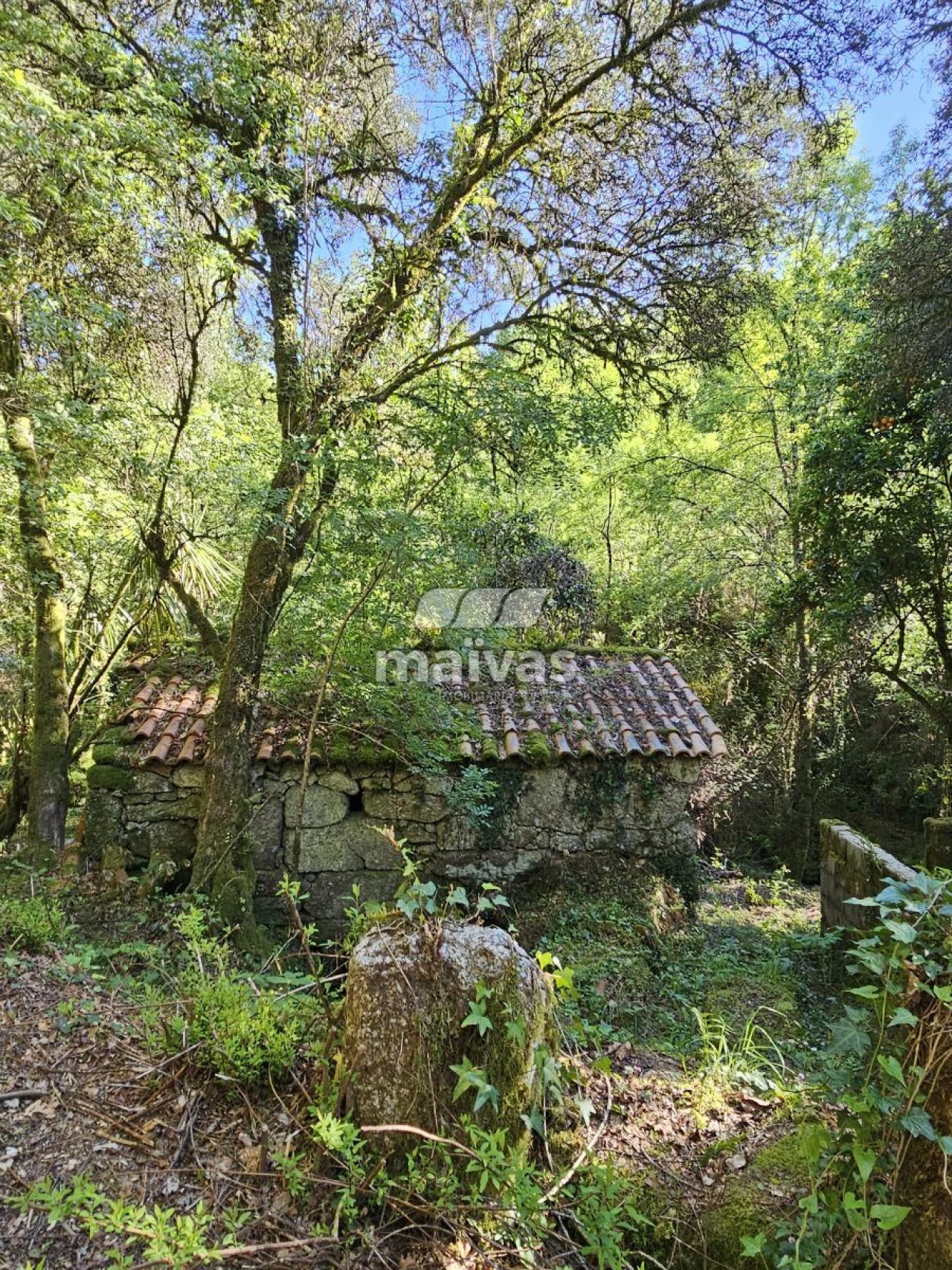 Negócio para Venda em Valdreu Foto 3