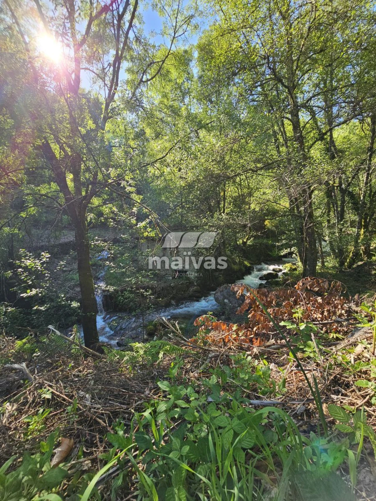 Negócio para Venda em Valdreu Foto 9