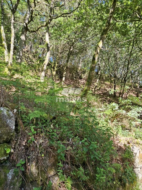 Negócio para Venda em Valdreu