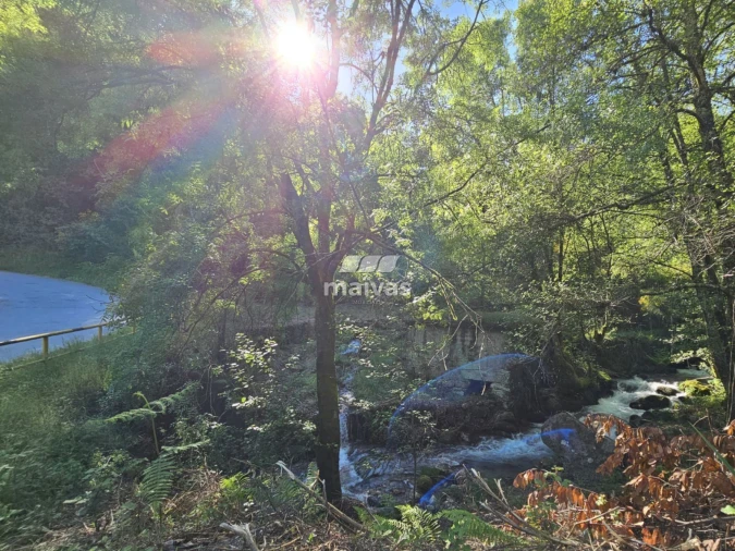 Negócio para Venda em Valdreu Foto 2