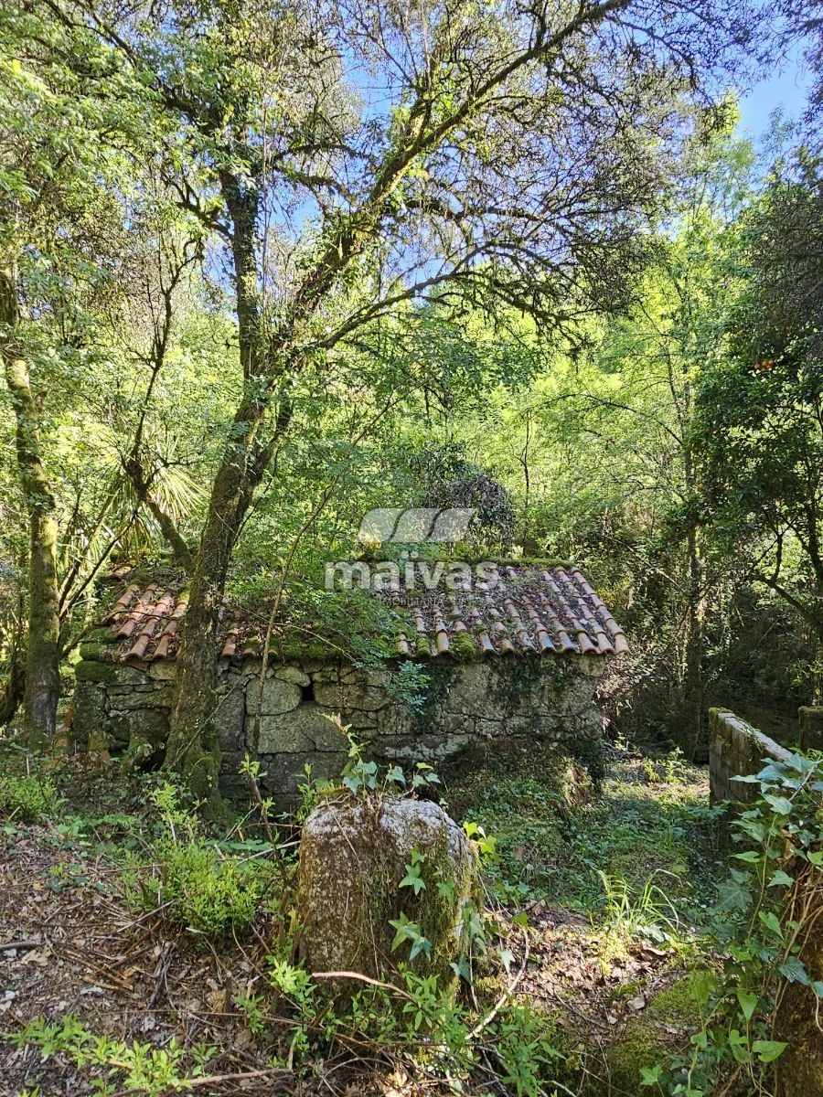 Negócio para Venda em Valdreu Foto 3