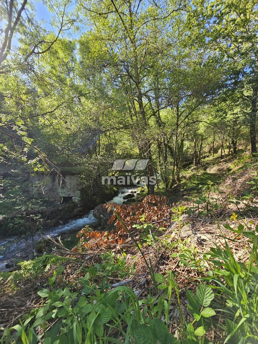 Negócio para Venda em Valdreu Foto 6