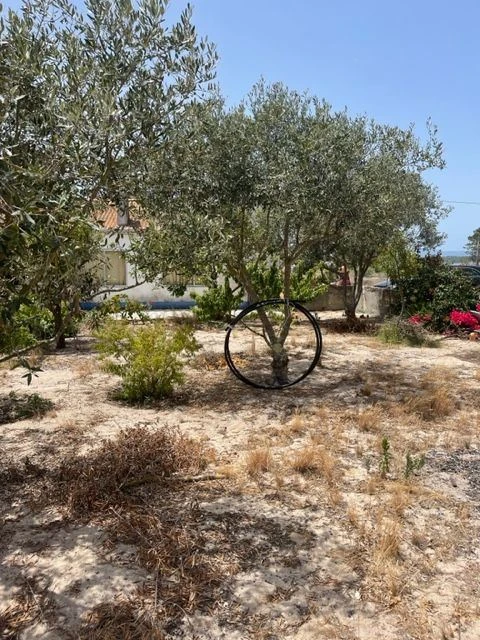 Moradia T4 para Venda em Comporta