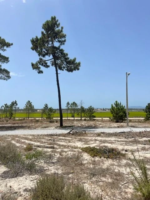 Moradia T4 para Venda em Comporta