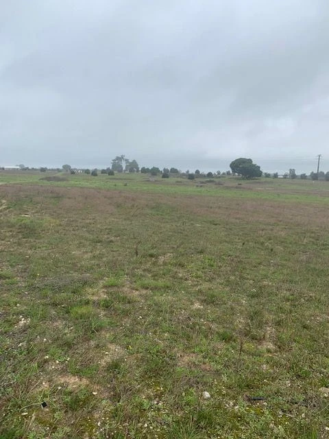 Quinta para Venda em Palmela