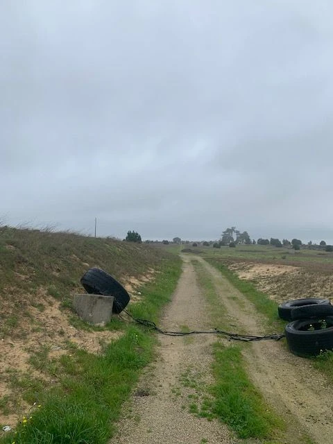 Quinta para Venda em Palmela