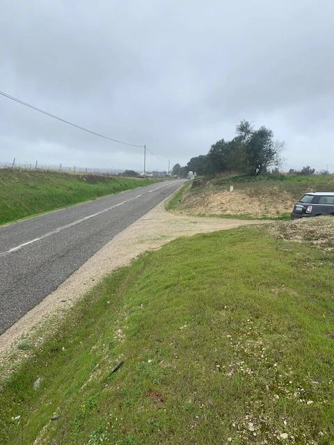 Quinta para Venda em Palmela