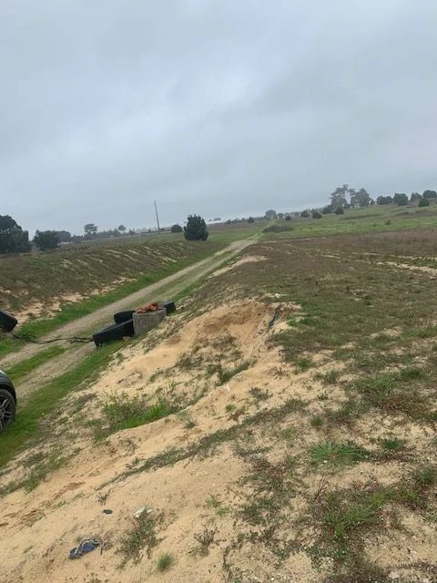 Quinta para Venda em Palmela
