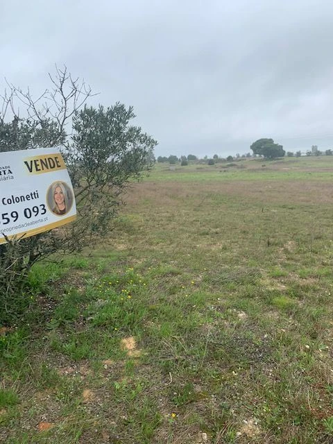 Quinta para Venda em Palmela