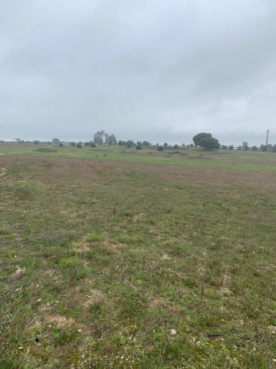 Quinta para Venda em Palmela Foto 3