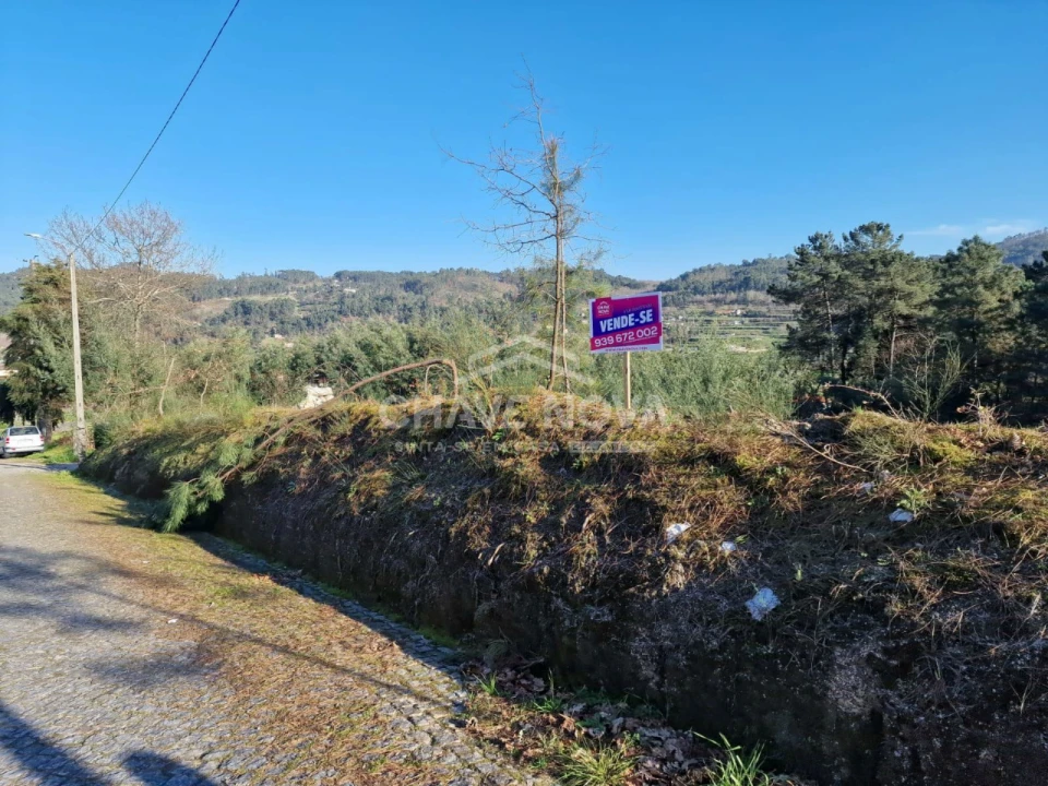 Terreno Agricola ou Rústico para Venda em Mancelos Foto 1