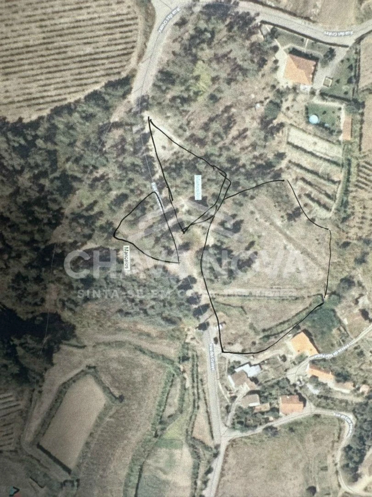 Terreno Agricola ou Rústico para Venda em Mancelos Foto 4
