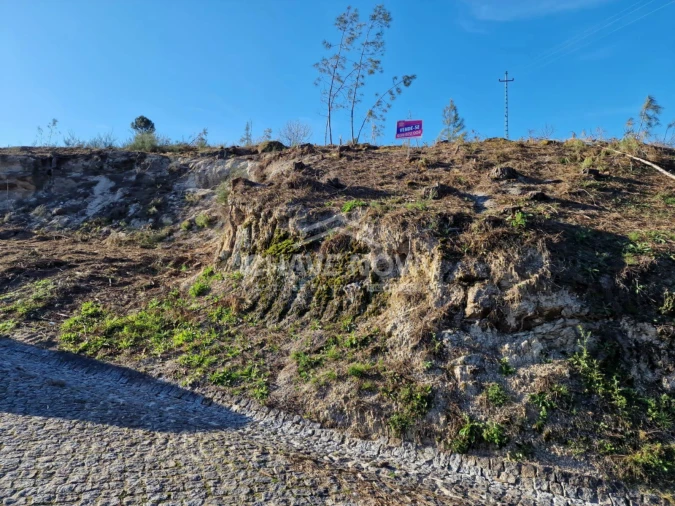 Terreno Agricola ou Rústico para Venda em Mancelos Foto 2