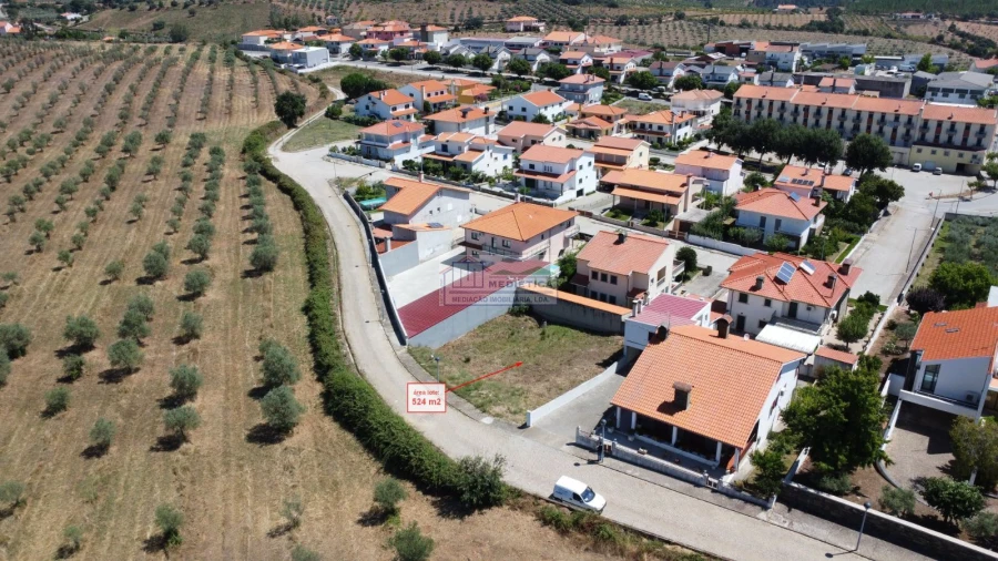 Terreno para Venda em Alfandega da Fe Foto 8