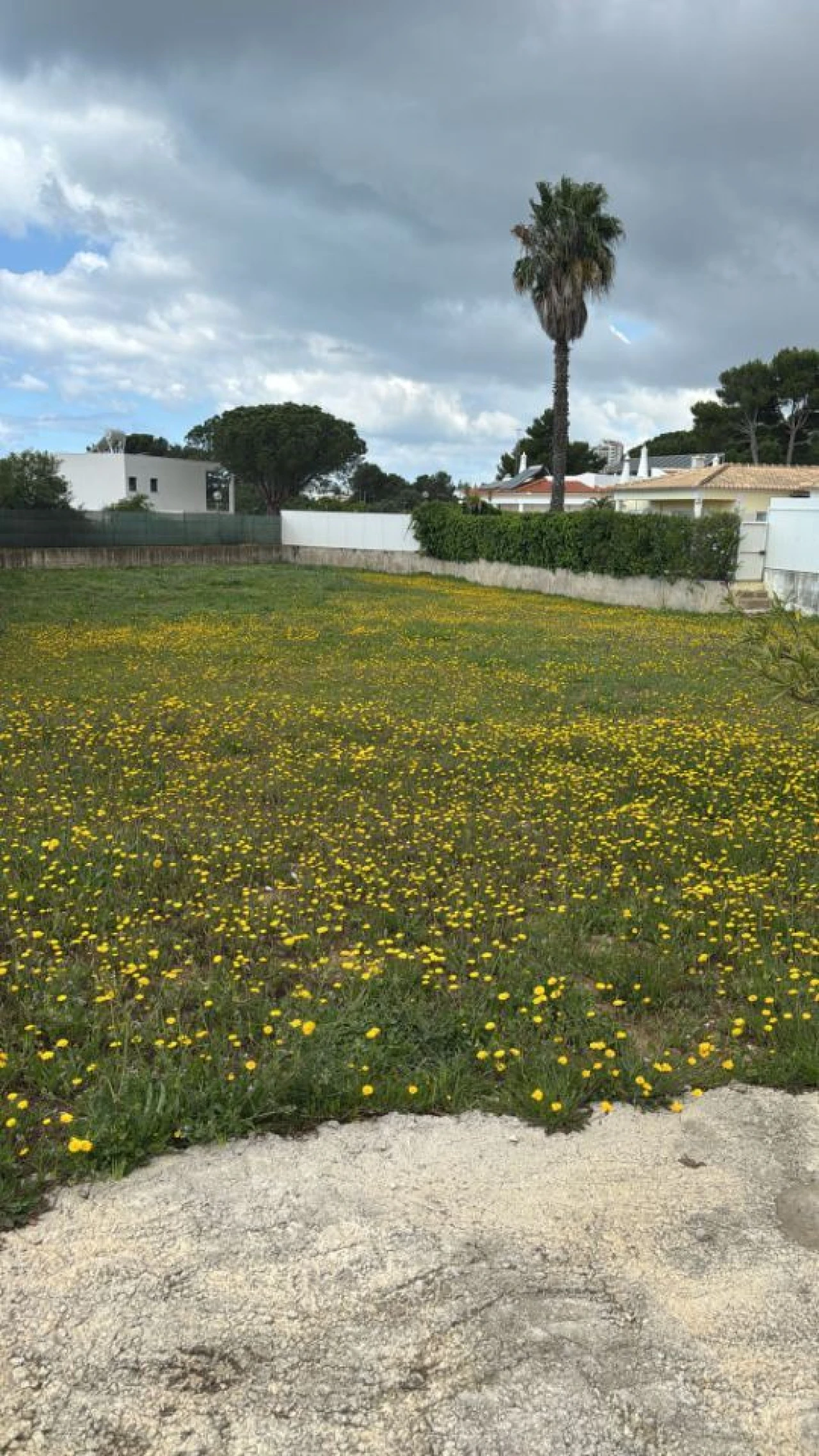 Terreno para Venda em Albufeira e Olhos de Água Foto 4
