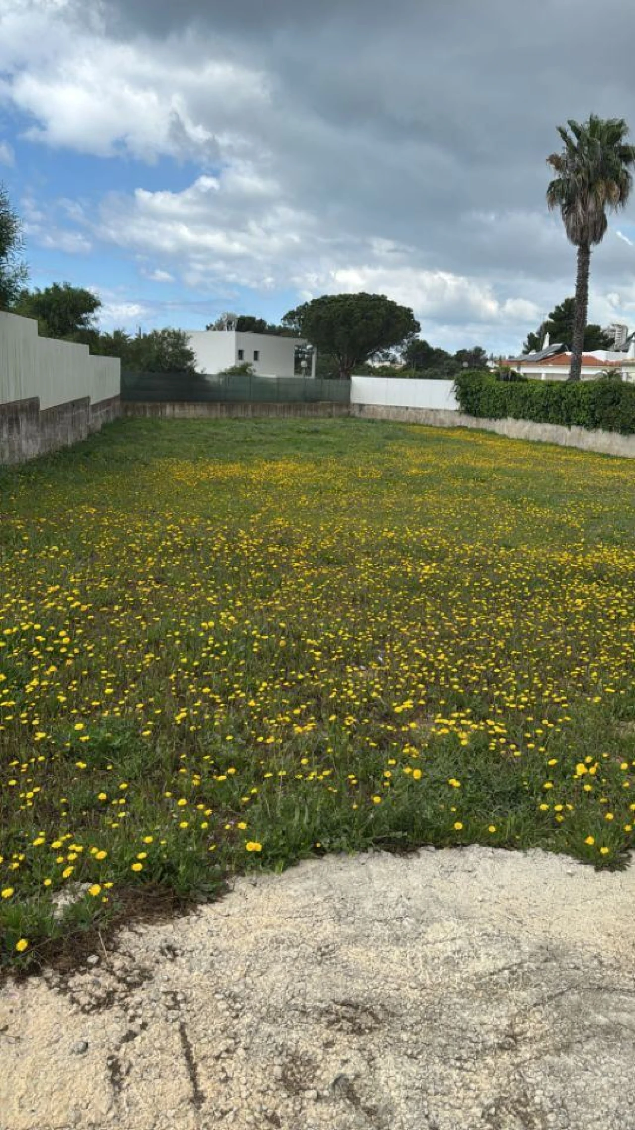 Terreno para Venda em Albufeira e Olhos de Água Foto 5