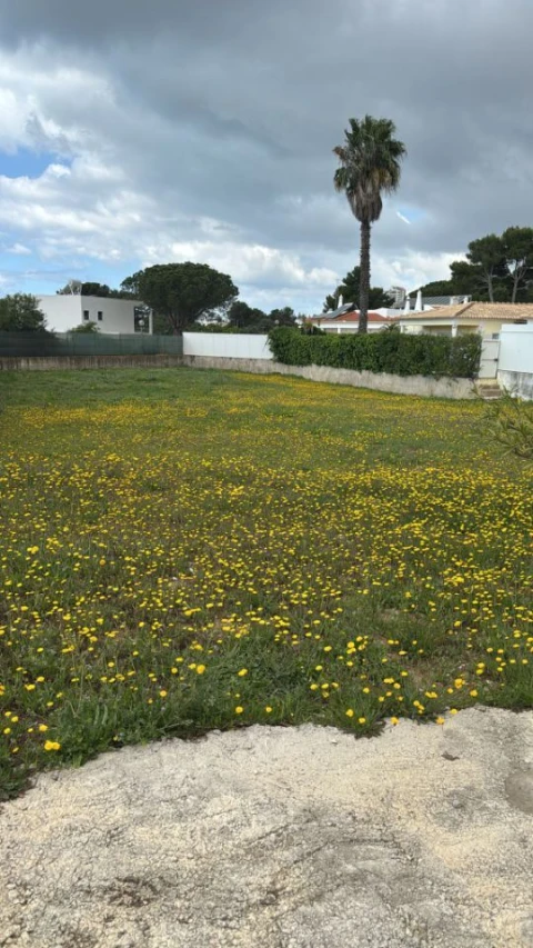 Terreno para Venda em Albufeira e Olhos de Água