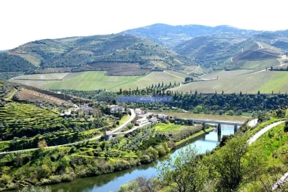 Terreno Agricola ou Rústico para Venda em Castanheiro do Norte e Ribalonga