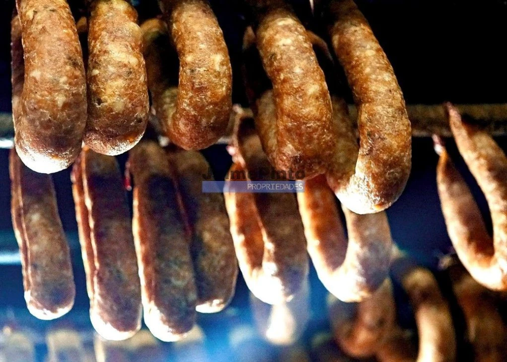 Prédio para Venda em Nossa Senhora da Conceição, São Pedro e São Dinis Foto 5