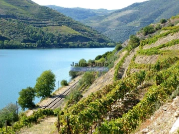 Prédio para Venda em Nossa Senhora da Conceição, São Pedro e São Dinis