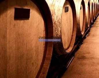 Prédio para Venda em Nossa Senhora da Conceição, São Pedro e São Dinis