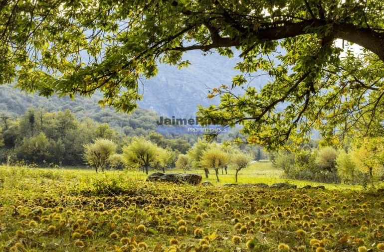 Prédio para Venda em Nossa Senhora da Conceição, São Pedro e São Dinis Foto 3