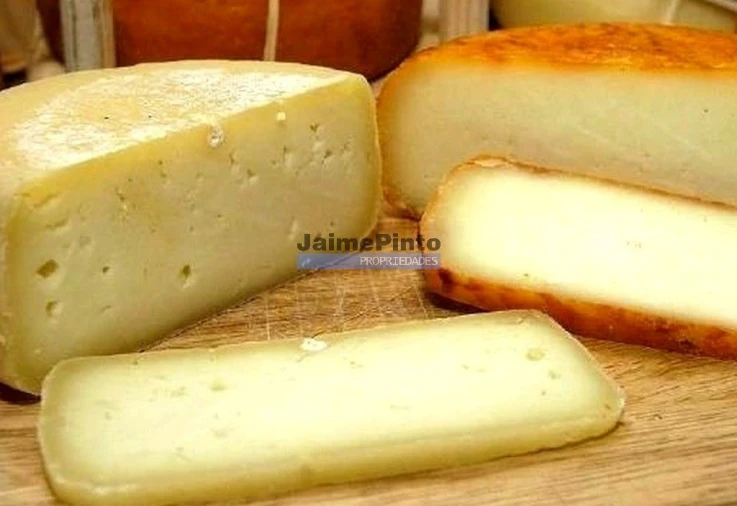 Prédio para Venda em Nossa Senhora da Conceição, São Pedro e São Dinis Foto 6