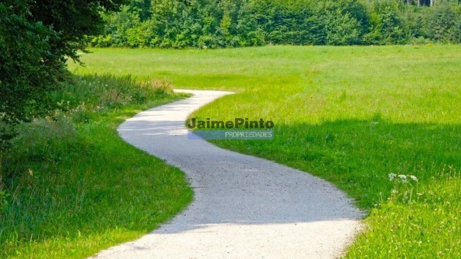 Terreno Agricola ou Rústico para Venda em Loures