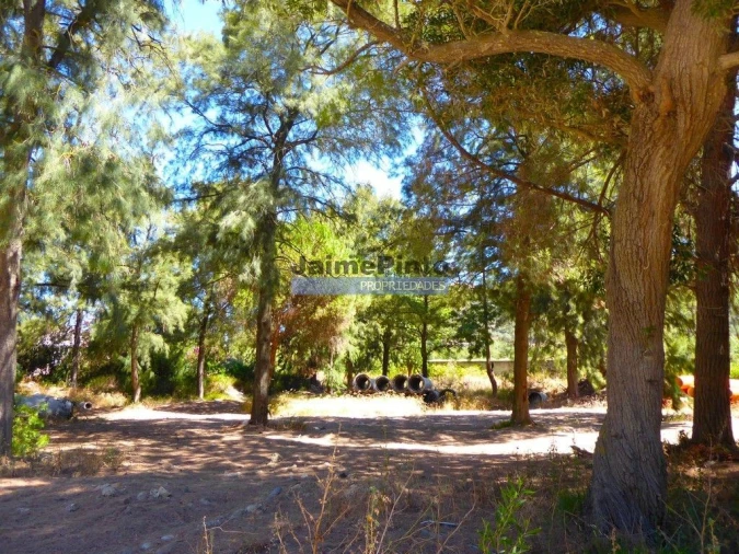 Terreno Agricola ou Rústico para Venda em Sacavém e Prior Velho Foto 3