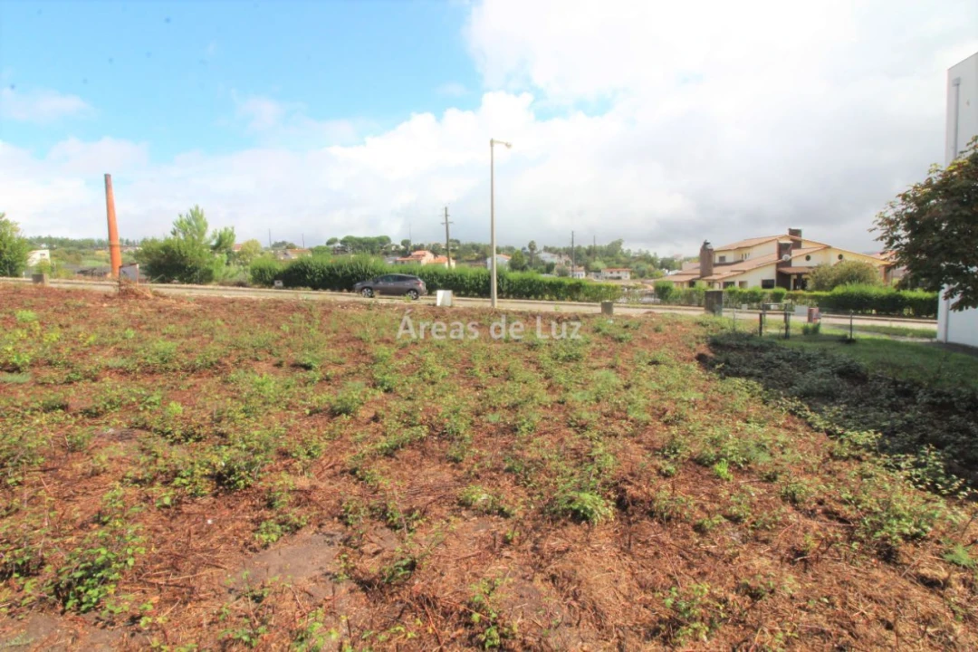 Terreno para Venda em Louriçal Foto 5