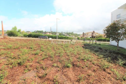 Terreno para Venda em Louriçal