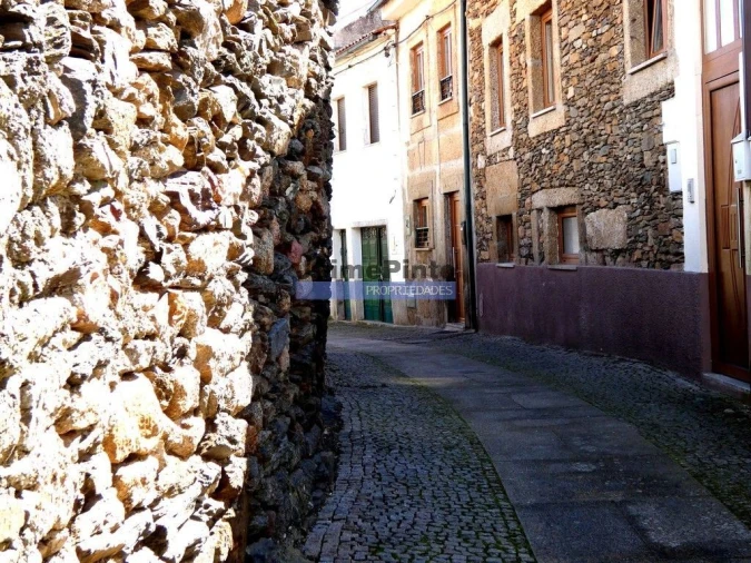 Prédio para Venda em Vila Flor e Nabo Foto 4