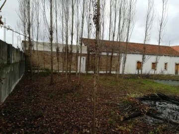 Moradia T6 para Venda em Santa Margarida da Coutada